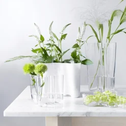 Discount Iittala 2 Jarrones Alvar Aalto, Transparente