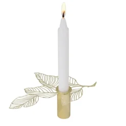 Pluto Design Candelabro Hassel pequeño 3 cm, Dorado Color dorado