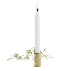 Outlet Pluto Design Candelabro Tall pequeño, Dorado Color dorado
