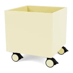 Sale Montana Colour Box I – S6161, Camomile Amarillo