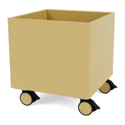 Sale Montana Colour Box I – S6161, Cumin Amarillo