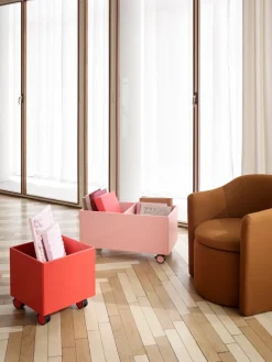 Sale Montana Colour Box I – S6161, Rosehip Naranja