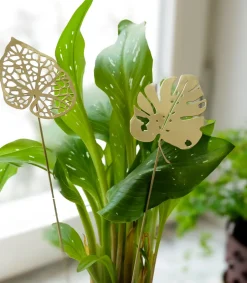 Outlet KLONG Decoración Brass leaves, set de 2, Water Color dorado