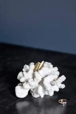 Outlet Mette Ditmer Decoración Coral branches white, Small Blanco