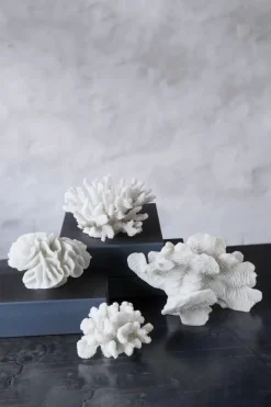 Best Mette Ditmer Decoración Coral branches white, Large Blanco