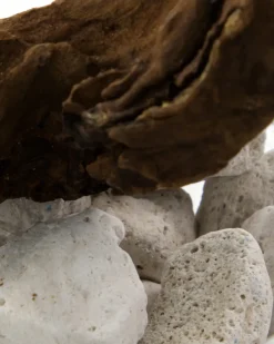 New Meraki Difusor de piedra de lava y madera, Blanco
