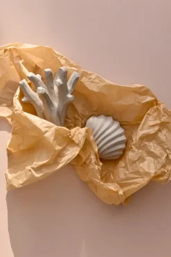 Outlet Cooee Design Escultura The Clam Shell 13 cm, Limestone Beige