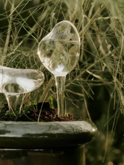 Ferm Living Globos de riego Mercury 2 piezas, Clear, 15x24 cm Transparente
