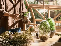 New Design House Stockholm Invernadero Grow, Medium ø11 cm Transparente
