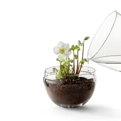 Discount Design House Stockholm Invernadero Grow, x-large Ø20 cm Transparente