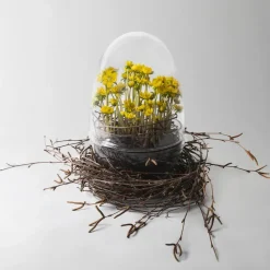 Discount Design House Stockholm Invernadero Grow, x-large Ø20 cm Transparente