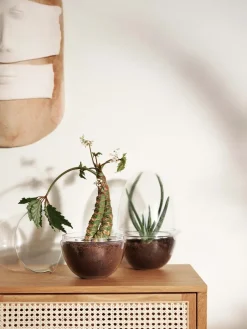 Discount Design House Stockholm Invernadero Grow, x-large Ø20 cm Transparente