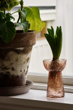 Clearance Scandi Living Jarrón para jacintos Flor, Marrón