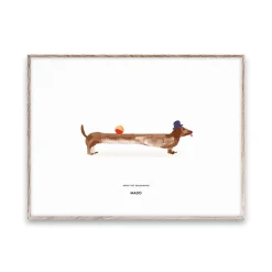 Sale Paper Collective Lámina Doug the Dachshund, 30x40 cm BlancoBeige