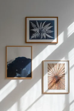 New Fine Little Day Lámina Fern star, 40x50 cm NegroBlanco