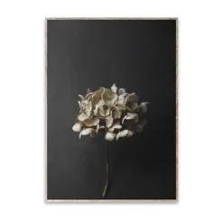 Discount Paper Collective Lámina Still Life 04 Hydrangea, 30x40 cm Color doradoNegro
