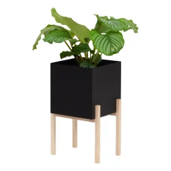 Outlet Design House Stockholm Maceta Botanic pedestal, -fresno Negro