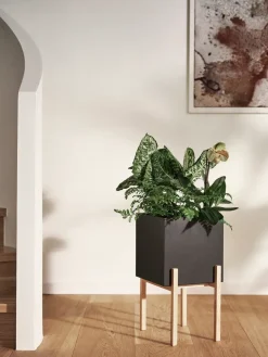 Outlet Design House Stockholm Maceta Botanic pedestal, -fresno Negro