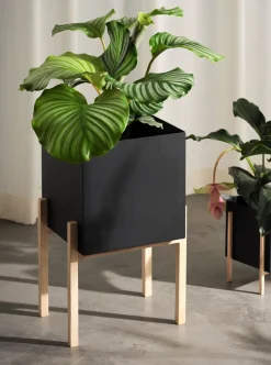 Outlet Design House Stockholm Maceta Botanic pedestal, -fresno Negro