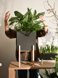 Outlet Design House Stockholm Maceta Botanic pedestal, -fresno Negro