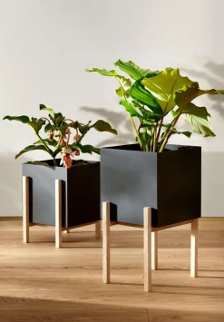 Outlet Design House Stockholm Maceta Botanic pedestal, -fresno Negro