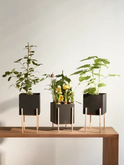Outlet Design House Stockholm Maceta Botanic pedestal, -fresno Negro