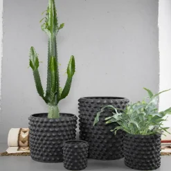 Clearance DBKD Maceta Cloudy, gris oscuro, Mediana, ø 30 cm GrisNegro