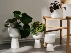 Iittala Maceta con plato Nappula Ø17 cm altura 13 cm, Blanco