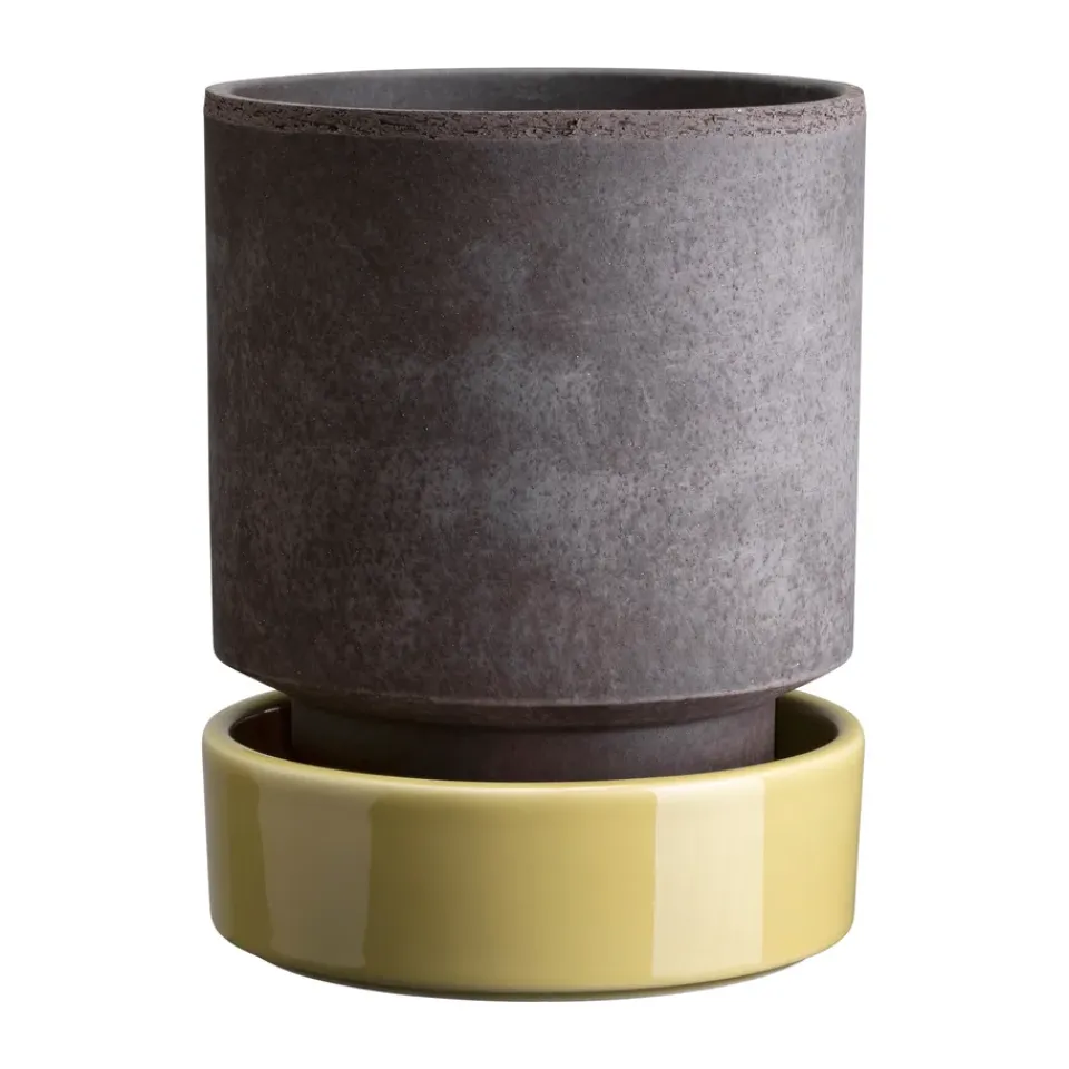 Hot Bergs Potter Maceta Hoff, Ø18 cm, Raw Grey-Pale Yellow GrisAmarillo