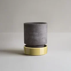 Hot Bergs Potter Maceta Hoff, Ø18 cm, Raw Grey-Pale Yellow GrisAmarillo