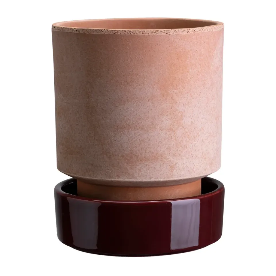 Bergs Potter Maceta Hoff, Ø16 cm, Raw Rosa-Deep Burgundy RosaPúrpura