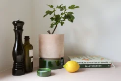 Clearance Bergs Potter Maceta Hoff, Ø14 cm, Raw Rosa-Misty Blue RosaAzul