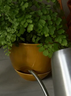 New Audo Copenhagen Maceta Hydrous Ø12 cm, Ochre Amarillo