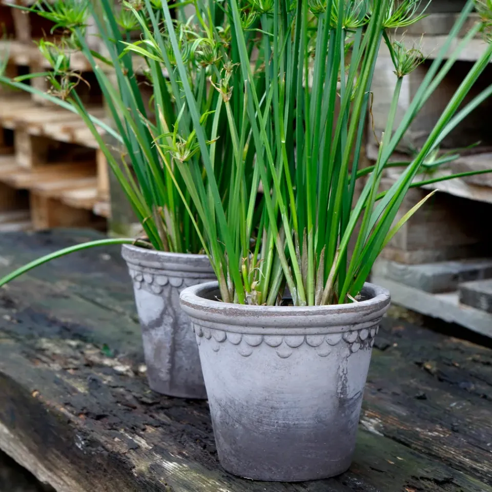 Outlet Bergs Potter Maceta Københavner Ø18 cm, Gris