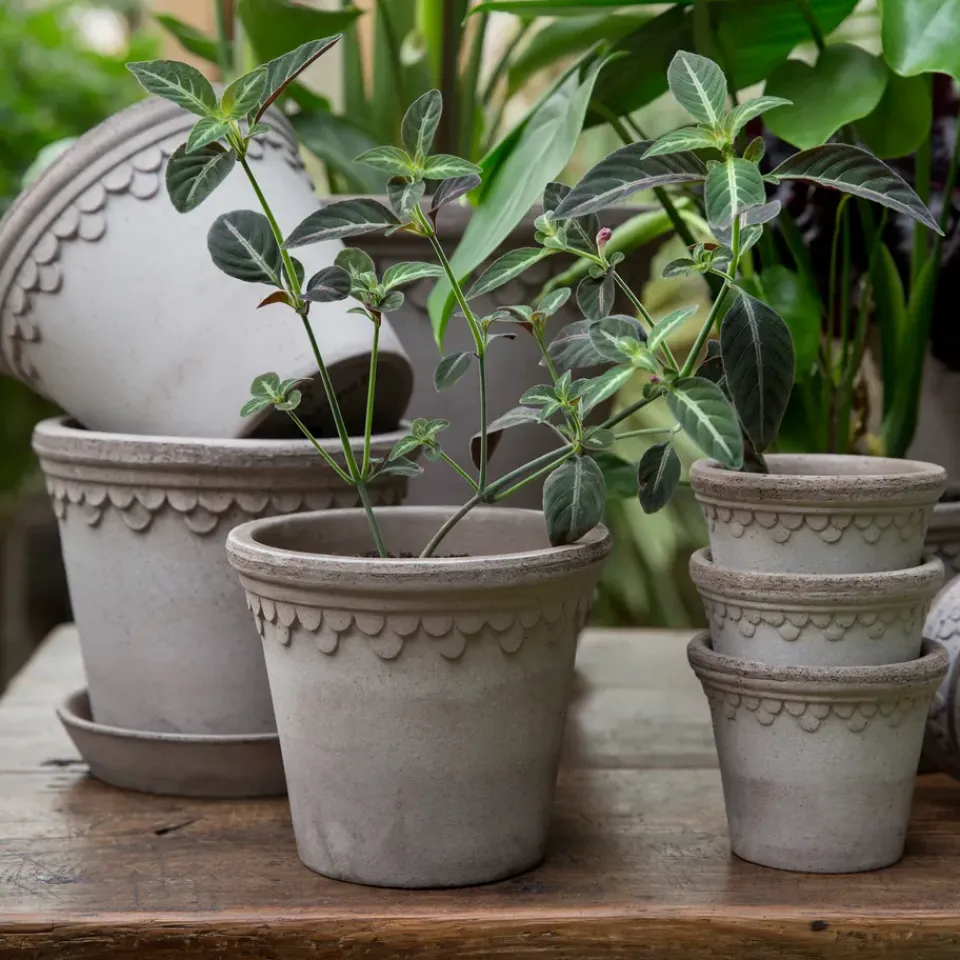 Best Bergs Potter Maceta Københavner Ø14 cm, Gris