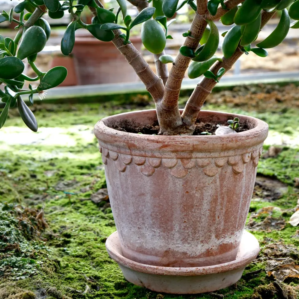 Sale Bergs Potter Maceta Københavner 21 cm, Rosa
