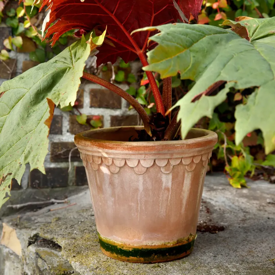 Sale Bergs Potter Maceta Københavner 21 cm, Rosa