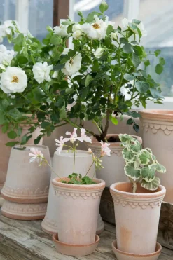 Online Bergs Potter Maceta Københavner alta Ø10 cm, Rosa