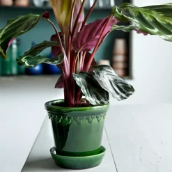Online Bergs Potter Maceta Københavner esmaltada Ø18 cm, Verde