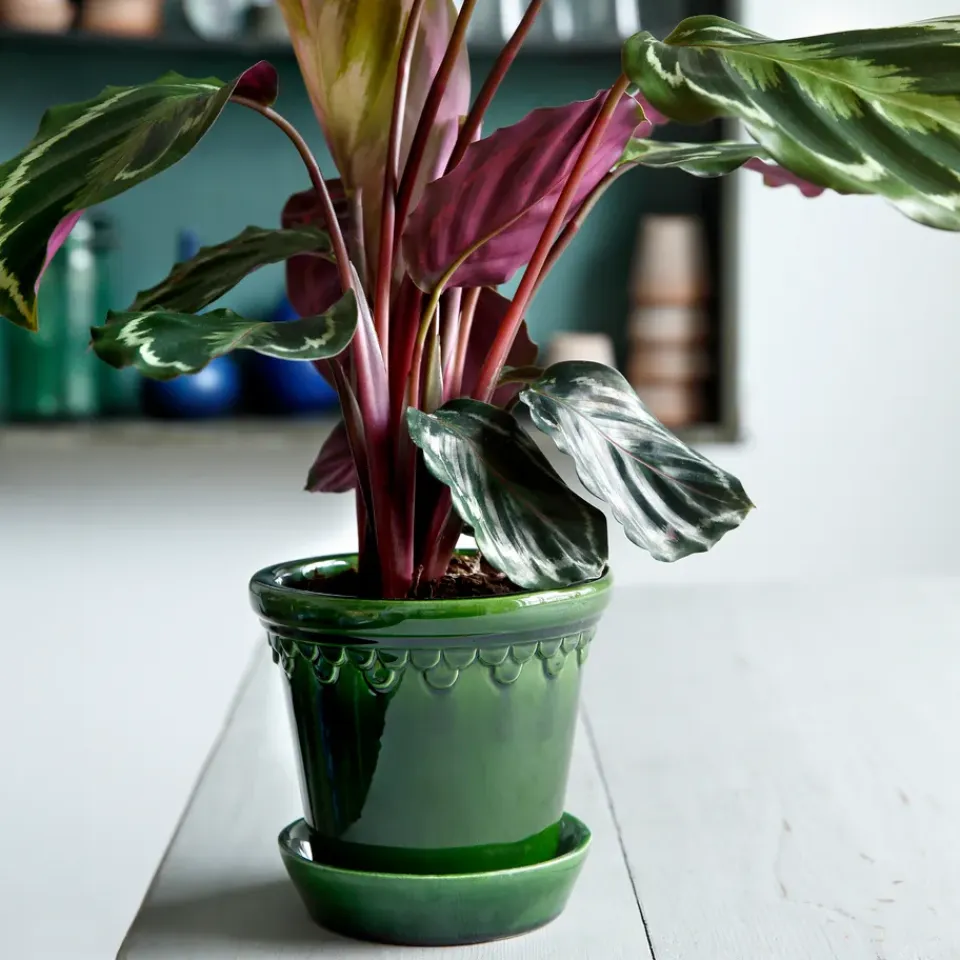 Online Bergs Potter Maceta Københavner esmaltada Ø18 cm, Verde
