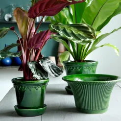 Sale Bergs Potter Maceta Københavner esmaltada Ø16 cm, Verde