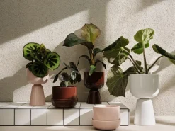 Outlet Iittala Maceta Nappula h32 cm Ø19 cm, Blanco