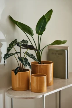 Online Scandi Living Maceta Sleek Ø12 cm, Mostaza Amarillo