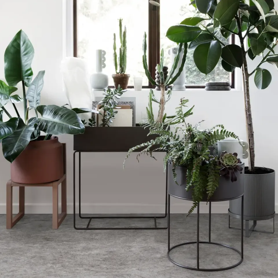 Hot Ferm Living Macetero Plant Box , Negro