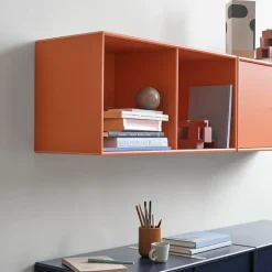Online Montana Módulo de estantería Line colgado en pared 1 puerta, New white 101 Blanco