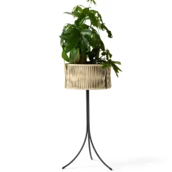 Sale Audo Copenhagen Pedestal para plantas Umanoff ratán-acero, h69 cm Ø36,5 cm Beige