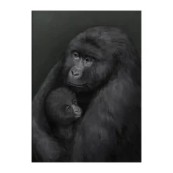 Clearance Kunskapstavlan® Póster Bergsgorillan, 50x70 cm Multi