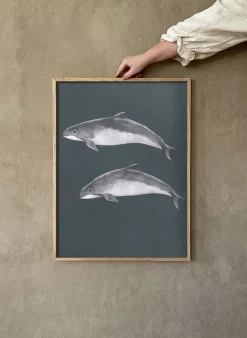 Outlet Kunskapstavlan® Póster Östersjötumlare, 50x70 cm Multi