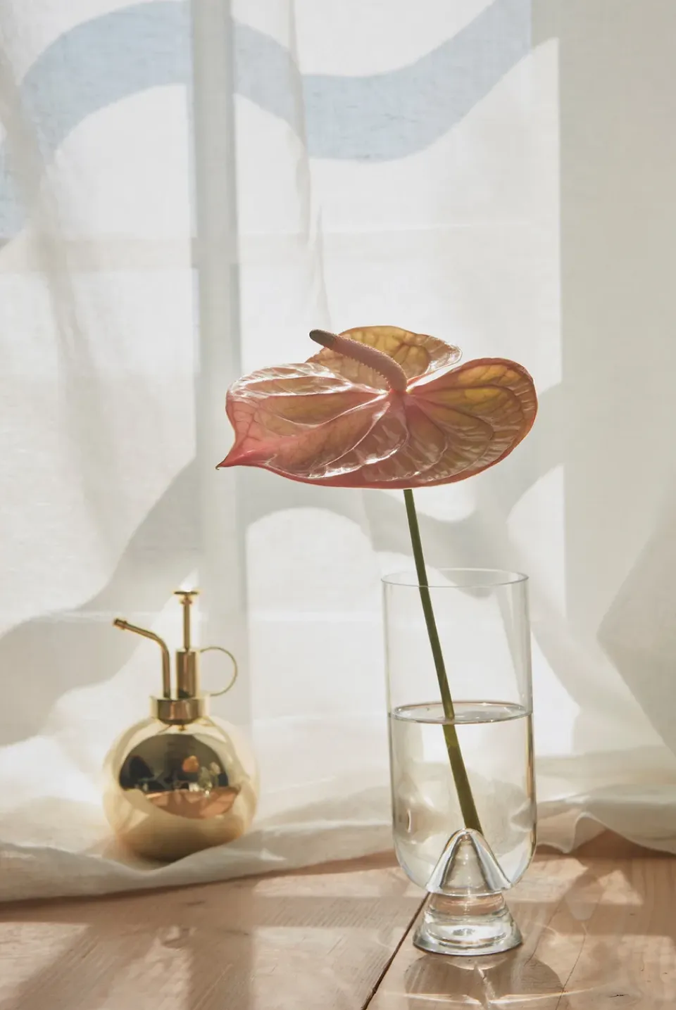Hot AYTM Pulverizador de plantas Globe, Oro Color dorado