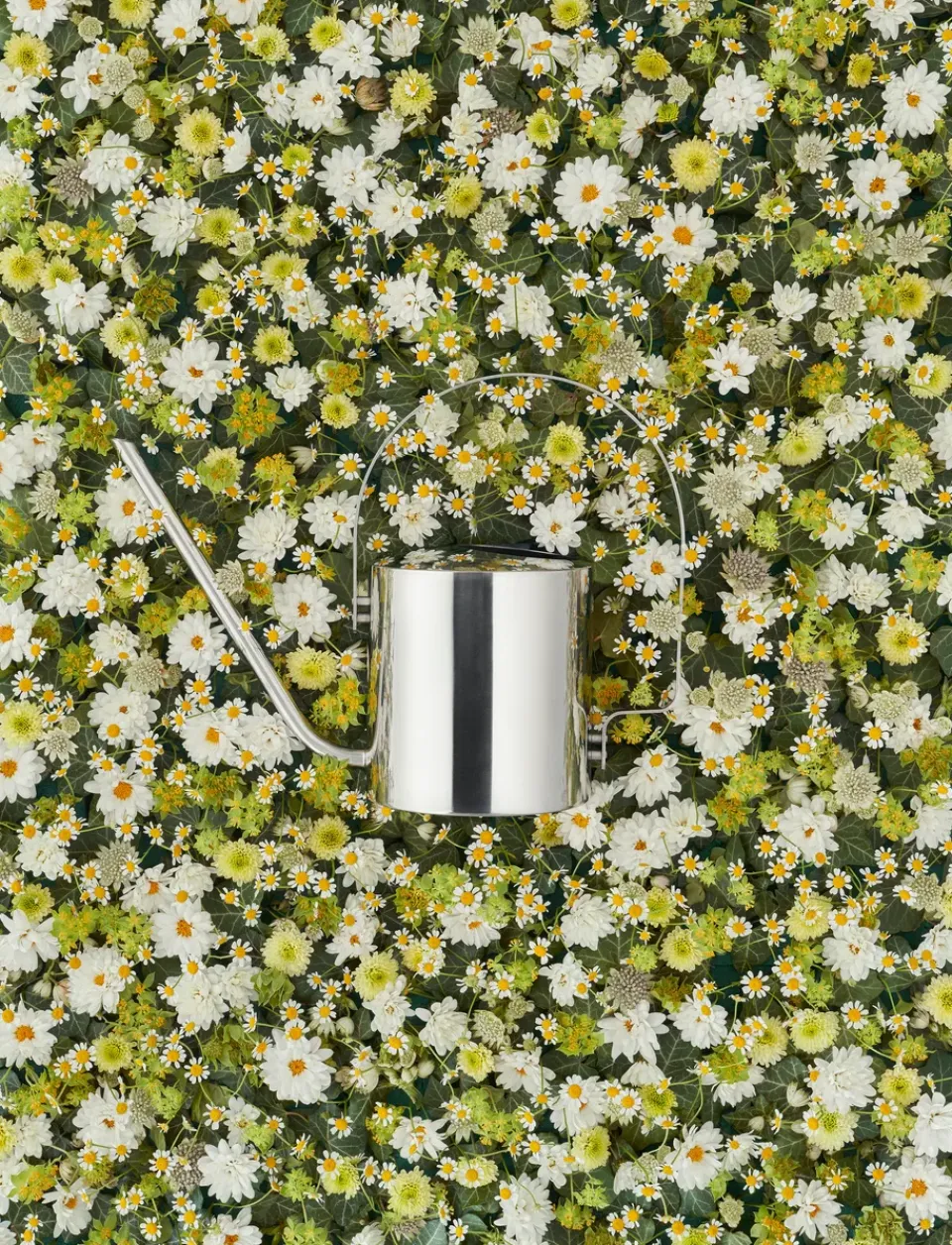 Stelton Regadera Original 1,7 l, acero inoxidable Plateado